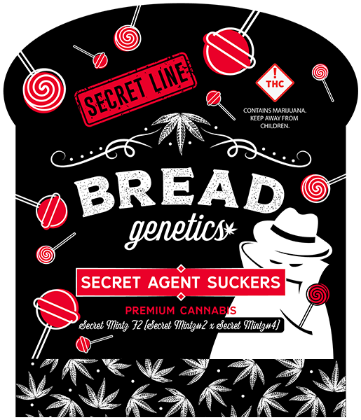 Secret Agent Bag Contained