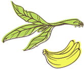 Banana Flan Graphic