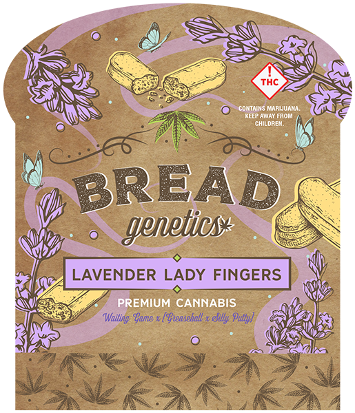 Lavender Lady Fingers